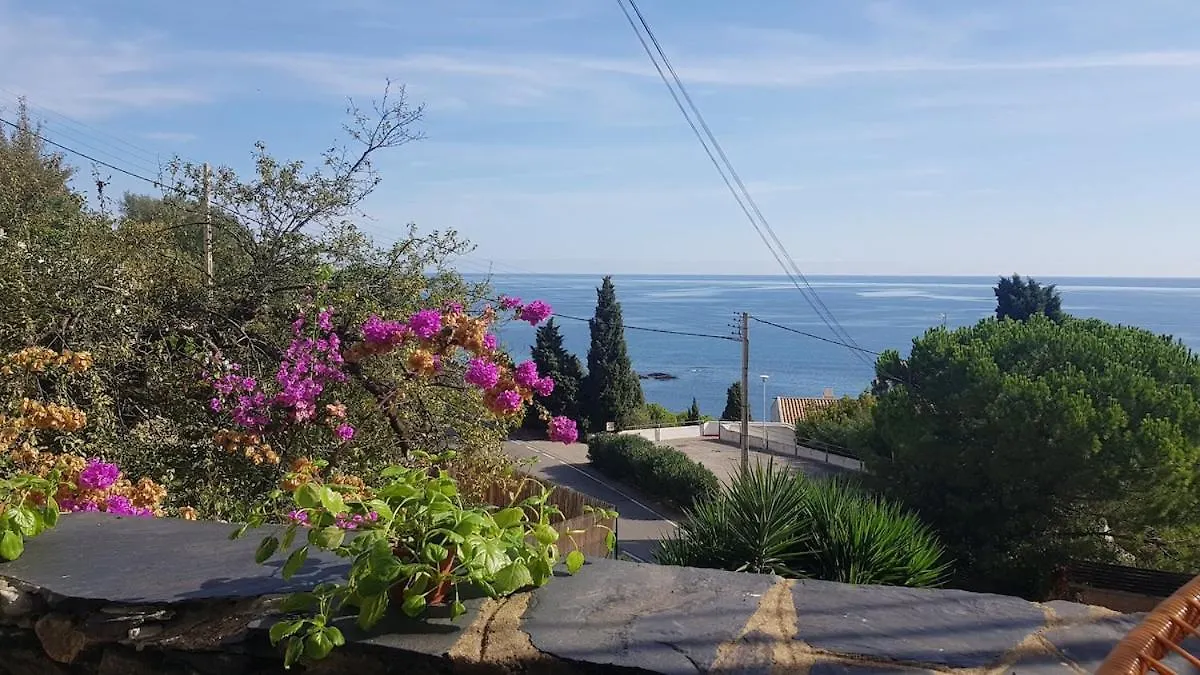 Balcony With Sea View Apartment Llanca